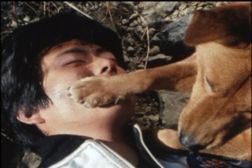 PDVD_023.jpg