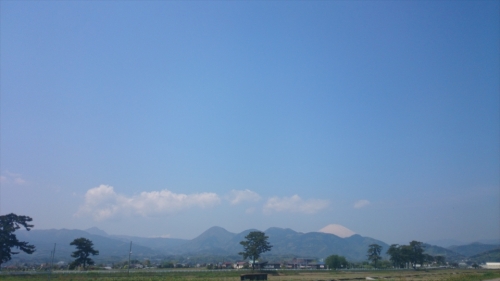 01009_R.JPG