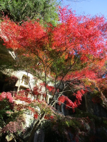 松島瑞巌寺