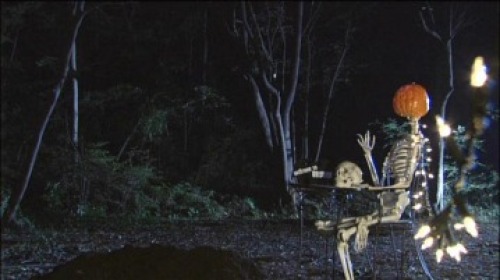 PDVD_021.jpg