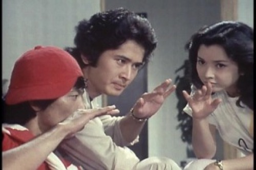 PDVD_019.jpg