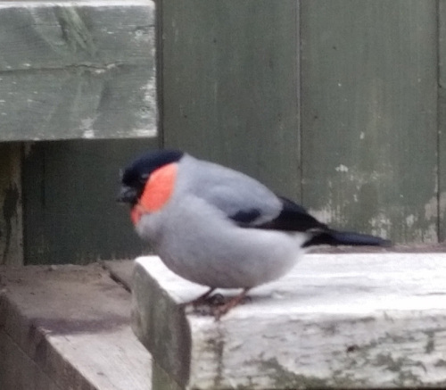 20160702_083754.jpg