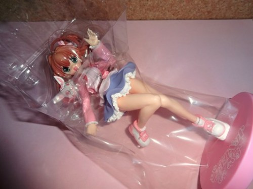 ｼﾞｪﾙﾍﾟｯﾄ  (2).JPG