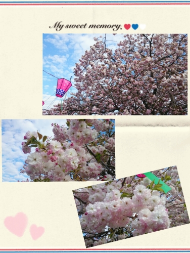 2017-05-17_15.22.29.jpg
