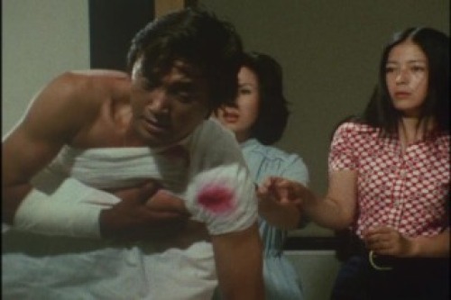 PDVD_030.jpg