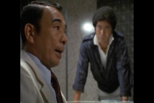PDVD_018.jpg