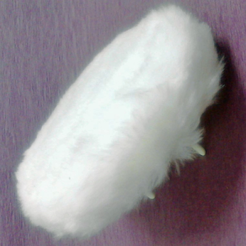 C:\fakepath\K0010224.JPG