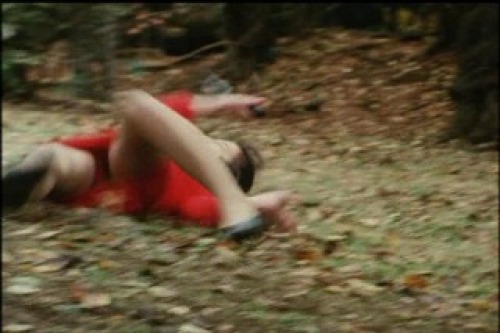 PDVD_020.jpg