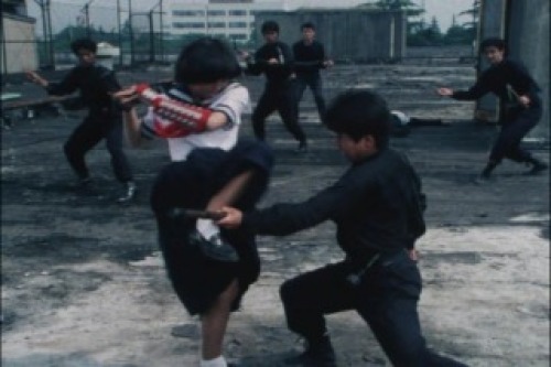 PDVD_034.jpg