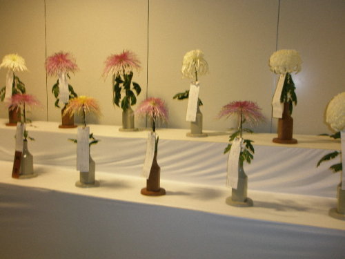 PB020007.JPG