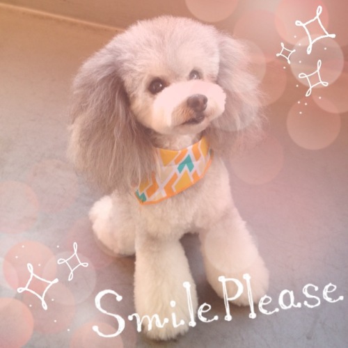 201411171642_9965_iphone.jpg
