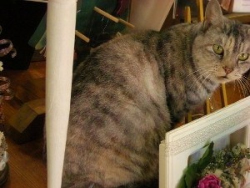 DSCN1357 (300x225).jpg