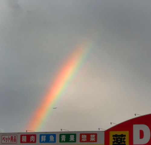 虹2.jpg