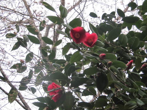C:\fakepath\IMG_5594.JPG