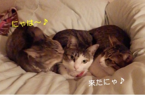 20151110_5.jpg