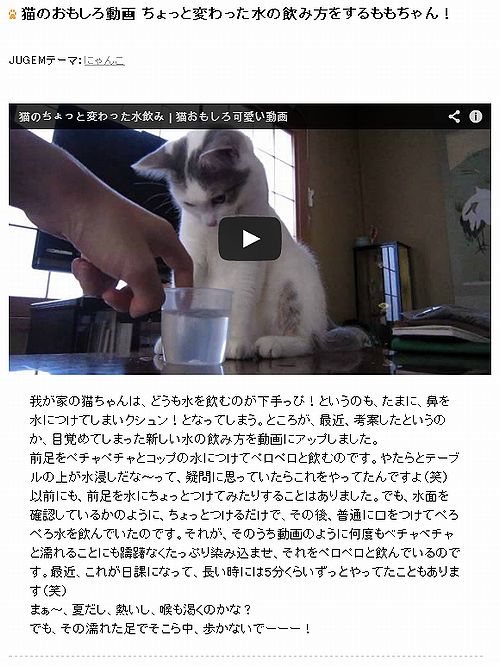 猫のおもしろ動画 前足で水飲する猫ちゃん Memorial Melody メモリアルメロディー Kiraのフォトブログ 楽天ブログ