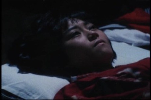 PDVD_020.jpg