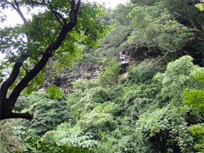 沖縄136.jpg