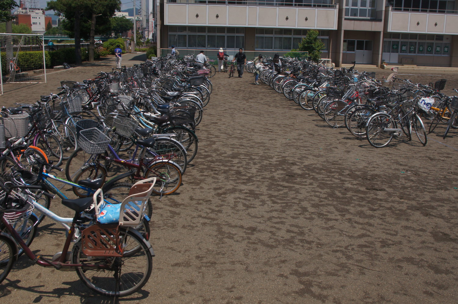 自転車 歩道 逆走 6月1日