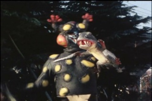 PDVD_170.jpg