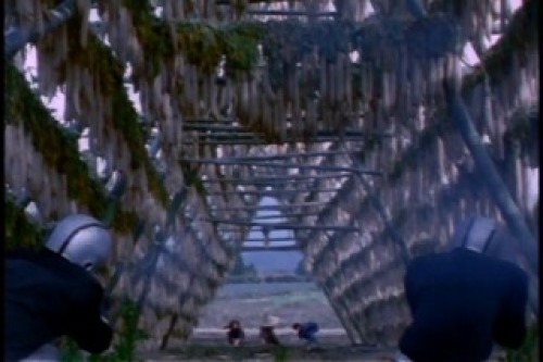 PDVD_008.jpg