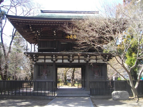 水戸街道小金宿東漸寺 (3).JPG