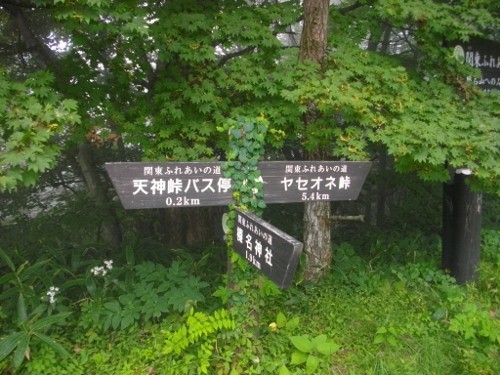 榛名外輪山天神峠関東ふれあいの道 (500x375).jpg