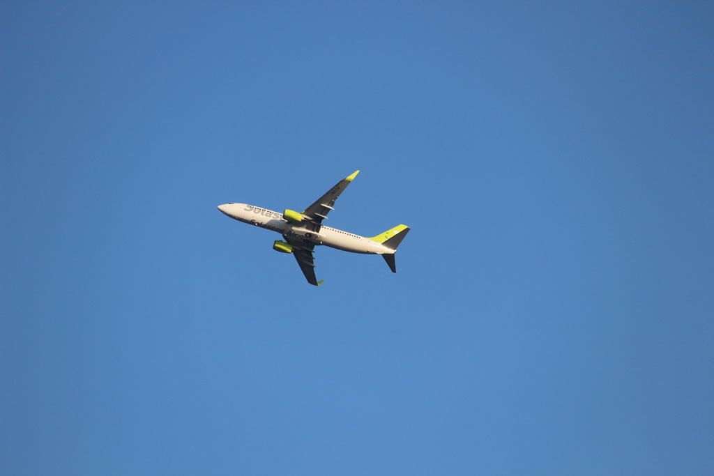 ソラシドエアB737-800（東京港野鳥公園）