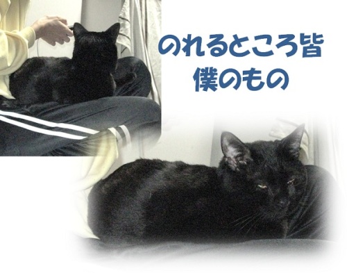 チャンいいなあ.jpg