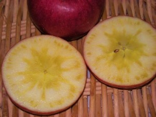 DSCN2610 (300x225).jpg