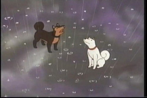 PDVD_016.jpg