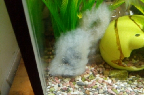 2016-06-11 20-06-22.jpg