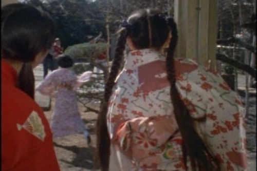 PDVD_005.jpg