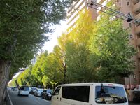 IMG_0001_R.JPG