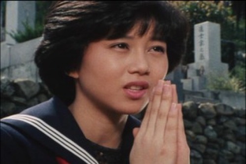 PDVD_006.jpg