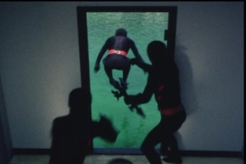 PDVD_017.jpg