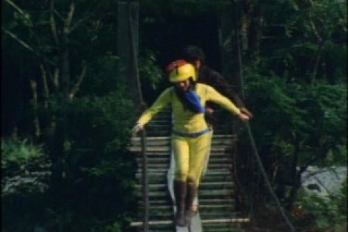 PDVD_014.jpg