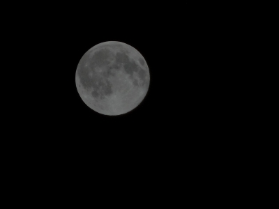 DSC01303_1.jpg