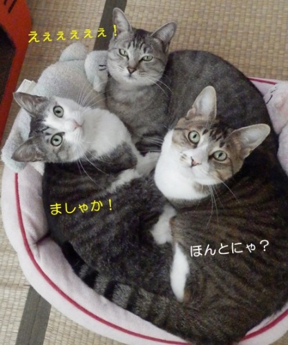 20150926_5.jpg