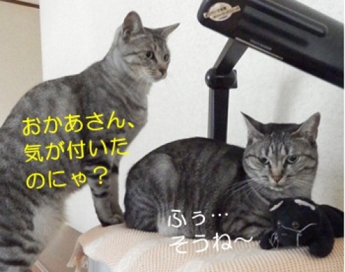 20141013_2.jpg