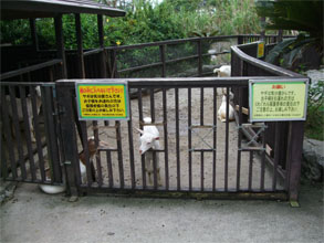 沖縄646.jpg