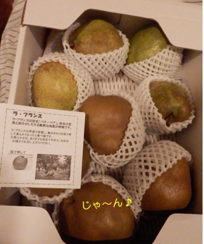 20141212_5.jpg