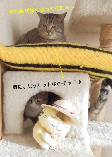 20150329_2.jpg