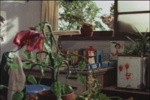 PDVD_056.jpg