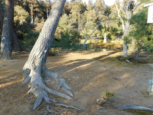 鹿苑寺旧西園寺亭.JPG