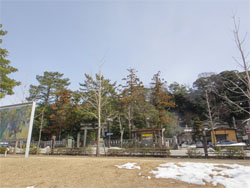 21美18.jpg