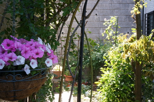 DSC02514.JPG