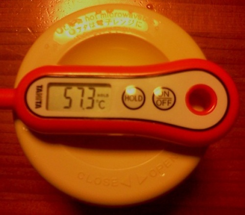 Thermos コウバイごはん容器 放置後