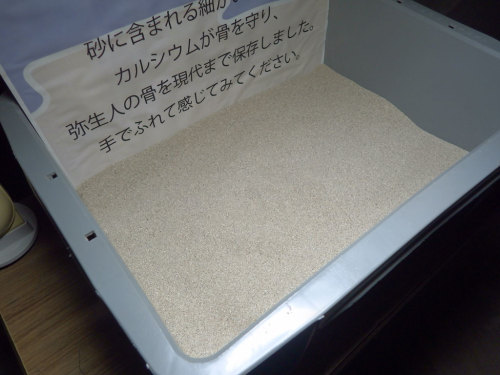 IMGP3412.jpg