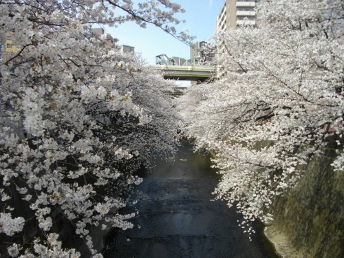 中仙道板橋石神井川 (500x375).jpg